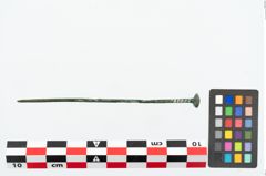 Foto von Bronzekugelkopfnadel (NHMW-PRAE-026037)